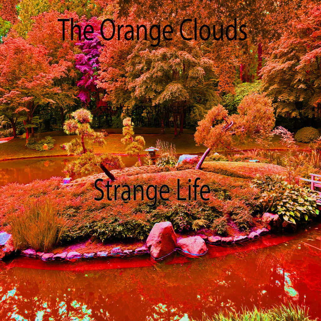 The Orange Clouds’ ‘Strange Life’: Your New Summer Anthem