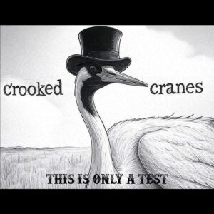 Basement Confessions and Blazing Riffs – Crooked Cranes Keep It Real on ‘This is Only a Test’