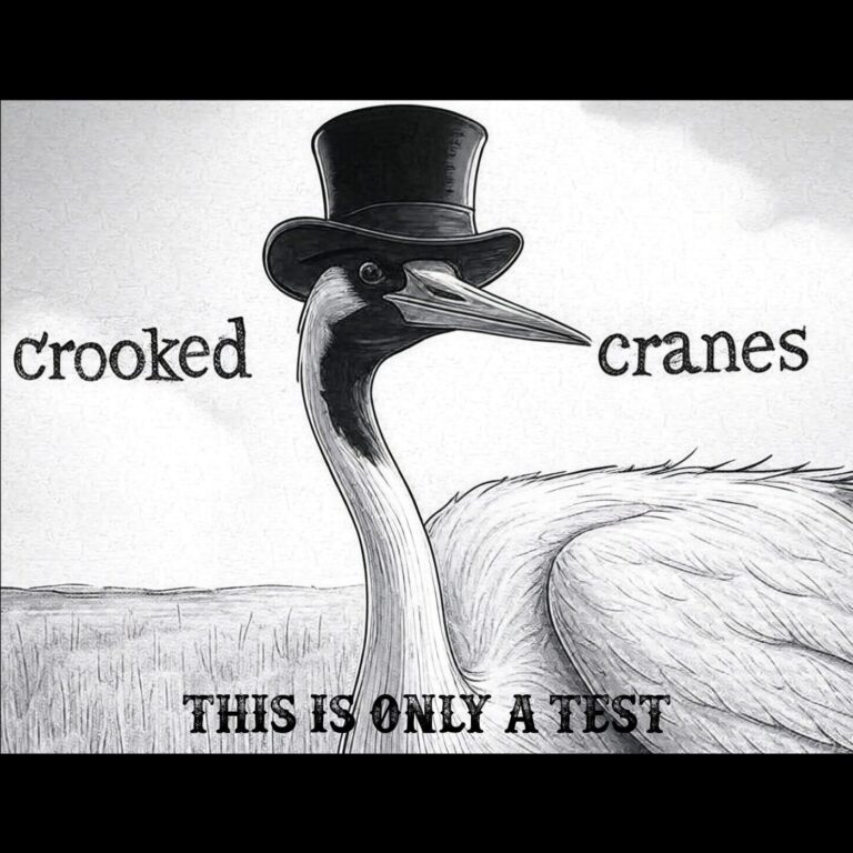Basement Confessions and Blazing Riffs – Crooked Cranes Keep It Real on ‘This is Only a Test’